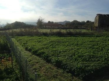 Terreno residencial en venta en Coles
