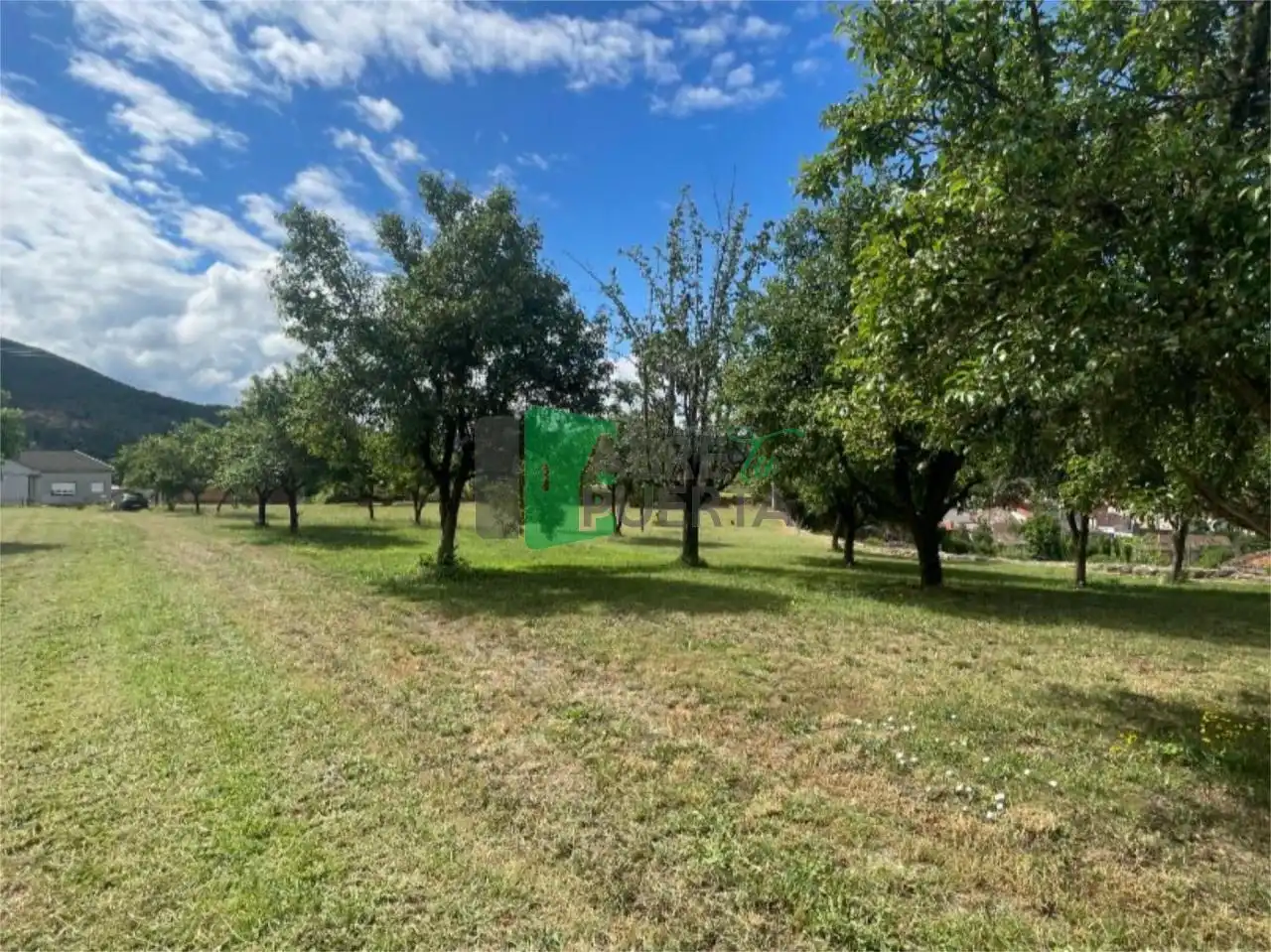 Casa o xalet en venda en Ribadavia amb Calefacció, Jardí privat i Terrassa