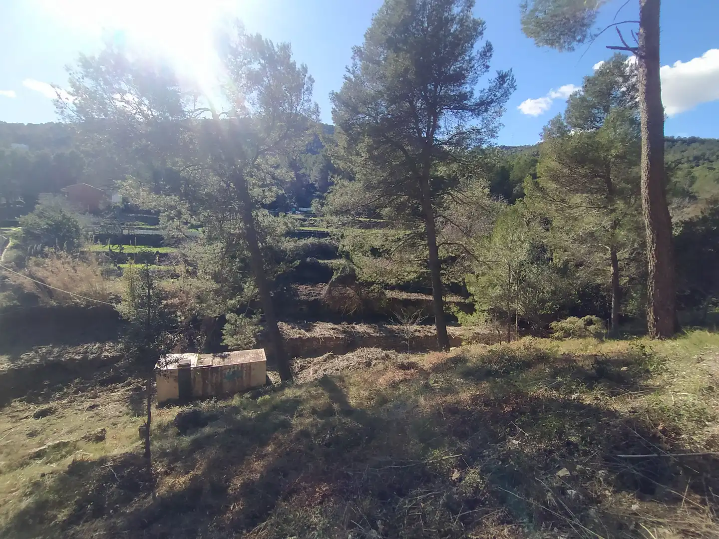 Wohnbaugrundstück zum Verkauf in Carretera Corbera a Gelida 83, imagen 23