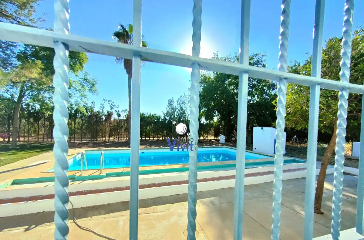 Piscina de Casa o chalet en venta en Carmona con Terraza y Trastero
