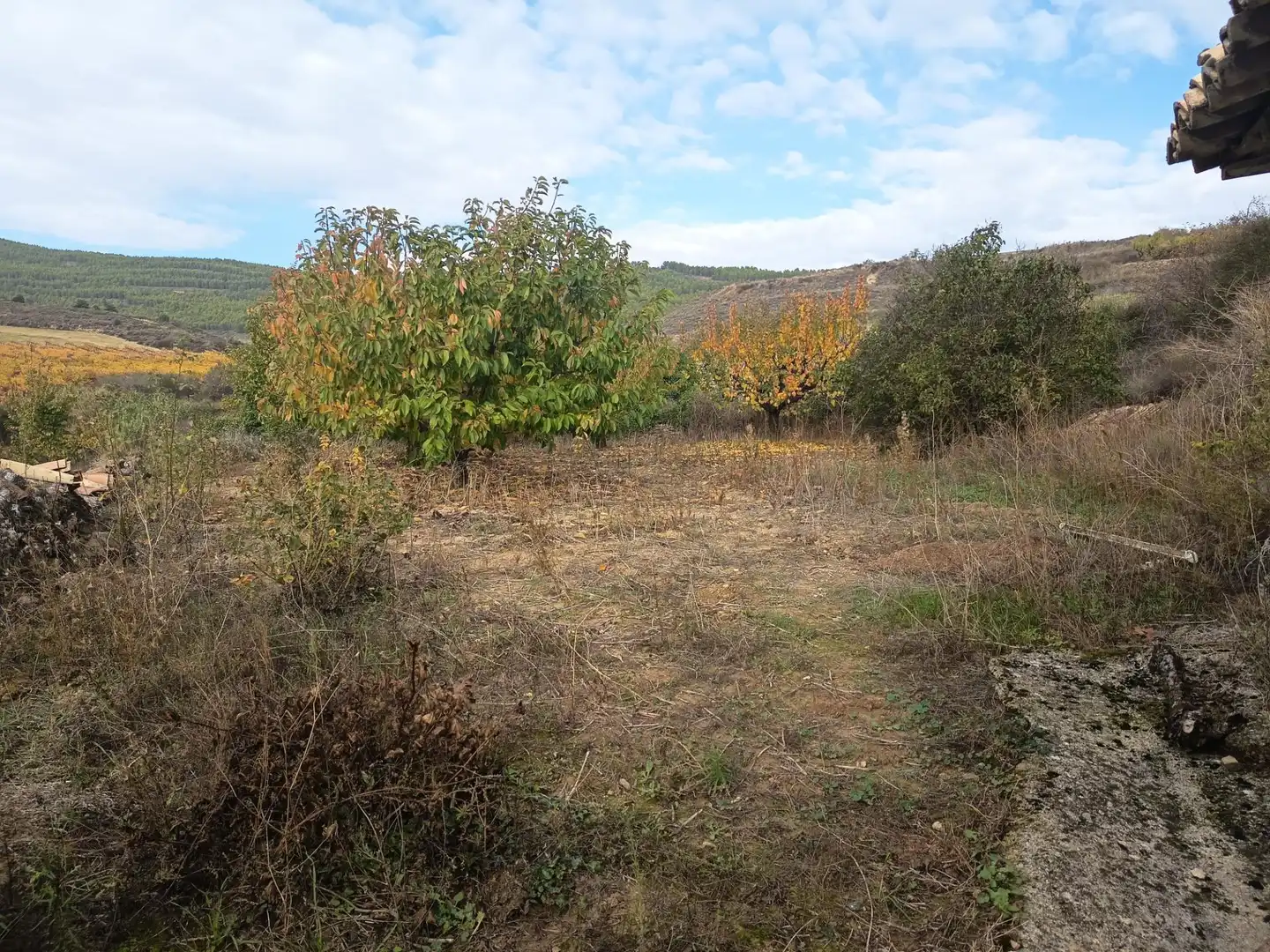 Casa o chalet en venta en Sada (Navarra)