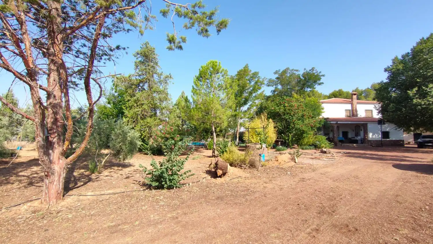 Casa rústica en venda a Valdepeñas, imagen 63