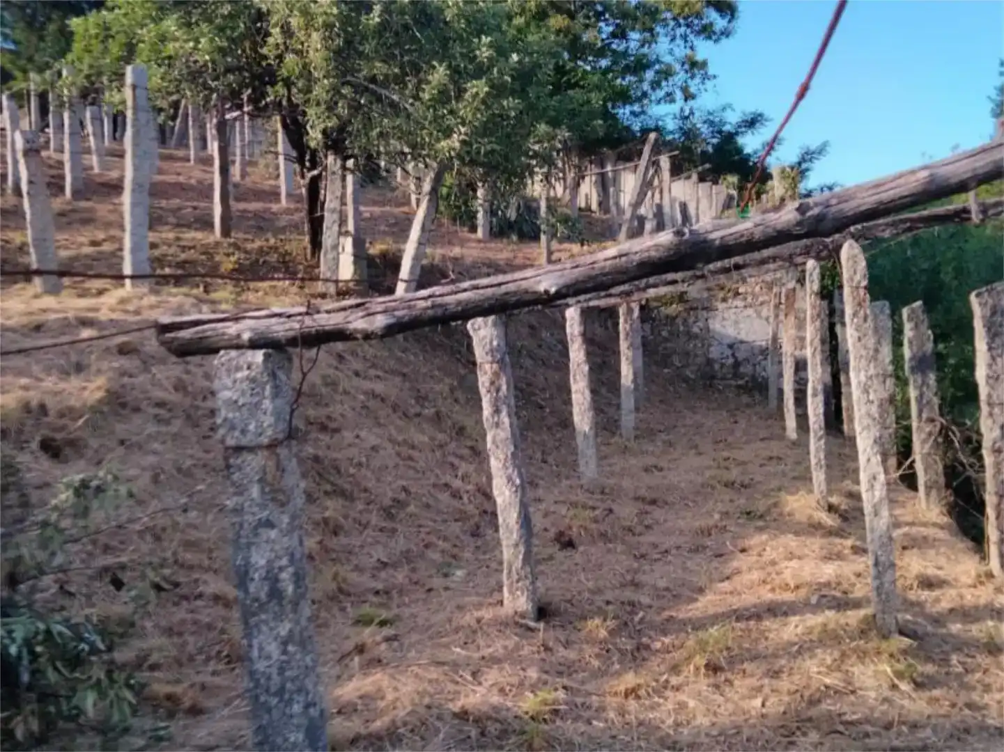 Casa o xalet en venda en Arbo