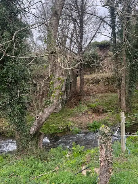 Vista exterior de Finca rústica en venta en Castropol