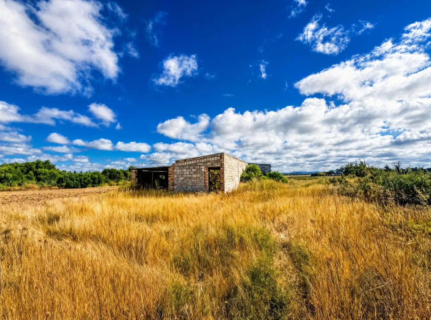 Rural land for sale in Pelagatos - Pago del Humo