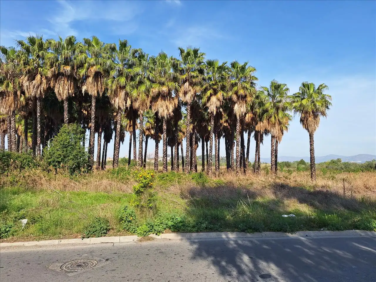 Land for sale in El Puig de Santa Maria