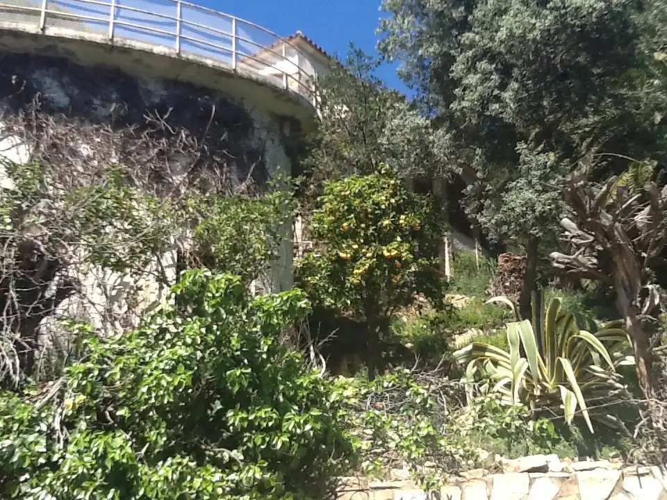 Garden of Flat for sale in Begur
