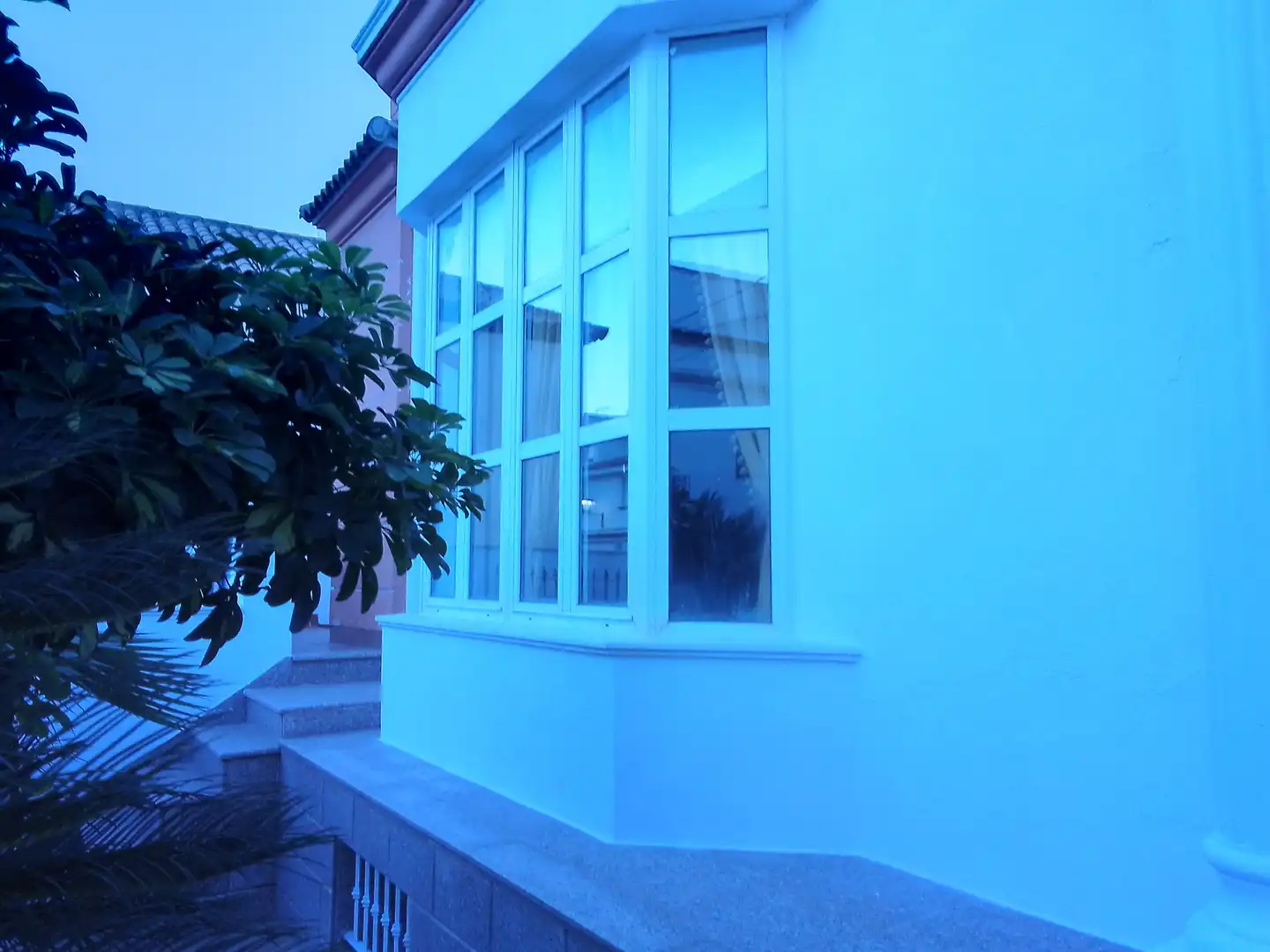 Vista exterior de Casa o chalet en venta en Prado del Rey con Jardín privado, Terraza y Amueblado