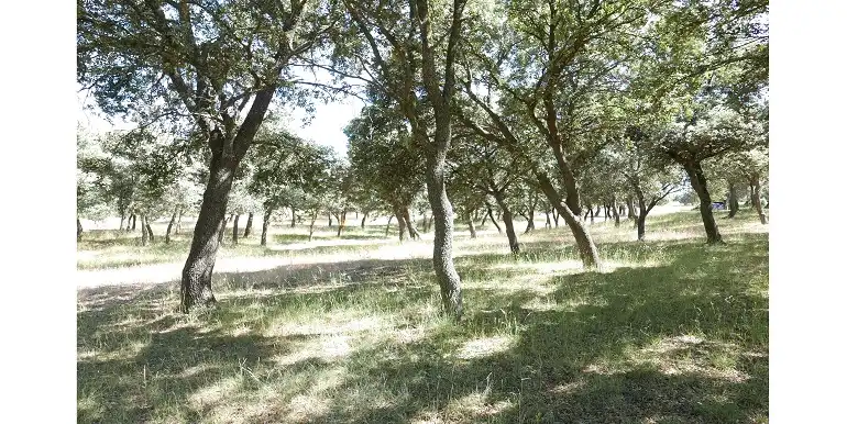Terreni e lotti in vendita a Marugán, imagen 57
