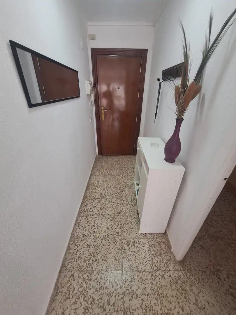 Appartamento con piscina in affitto a Torre del Mar, imagen 21