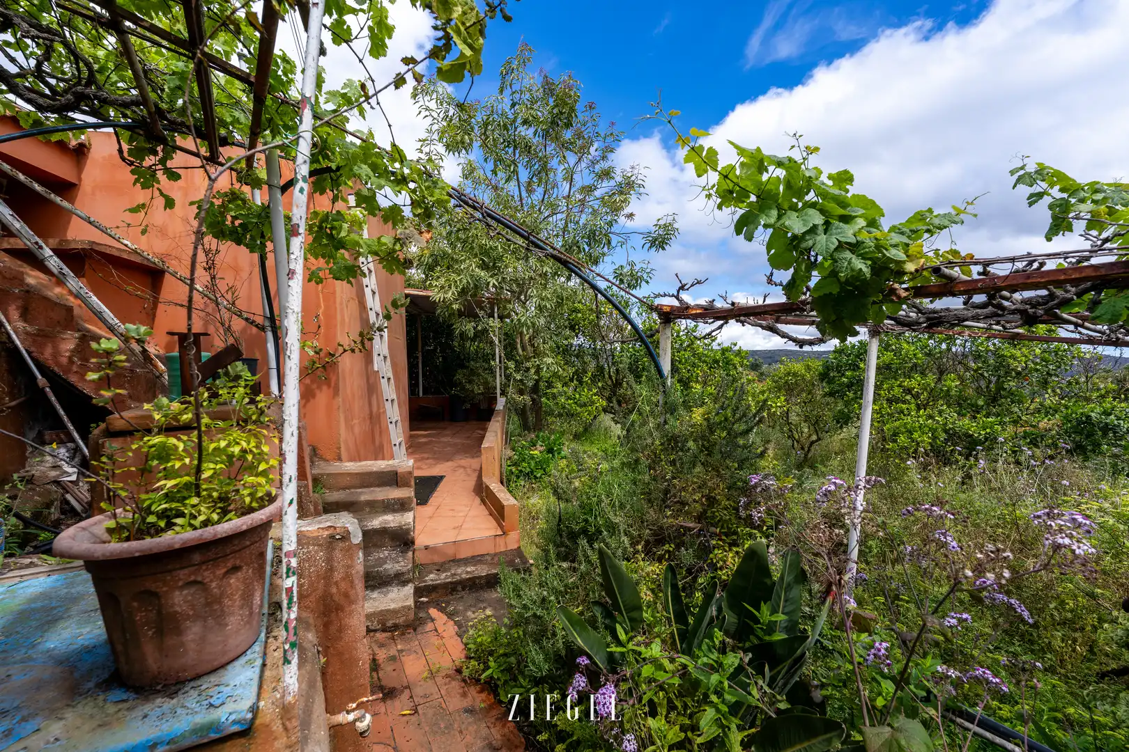 Jardí de Casa o xalet en venda en Santa Brígida amb Jardí privat, Terrassa i Balcó