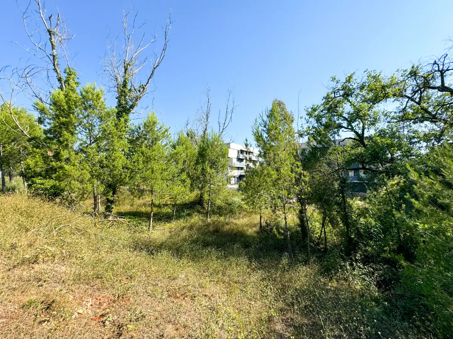 Terreno residencial en venta en Carrer de les Repassadores 7, imagen 3