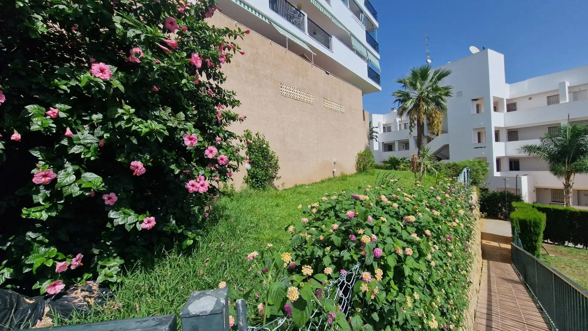 Piso con piscina en venta en Calle Calle Geranios 35, imagen 48