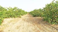 Finca rústica en venda en Málaga Capital