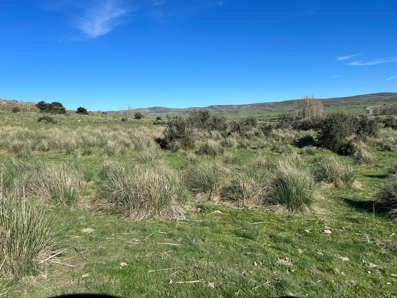 Terreni e lotti in vendita a Tornadizos de Ávila, imagen 23