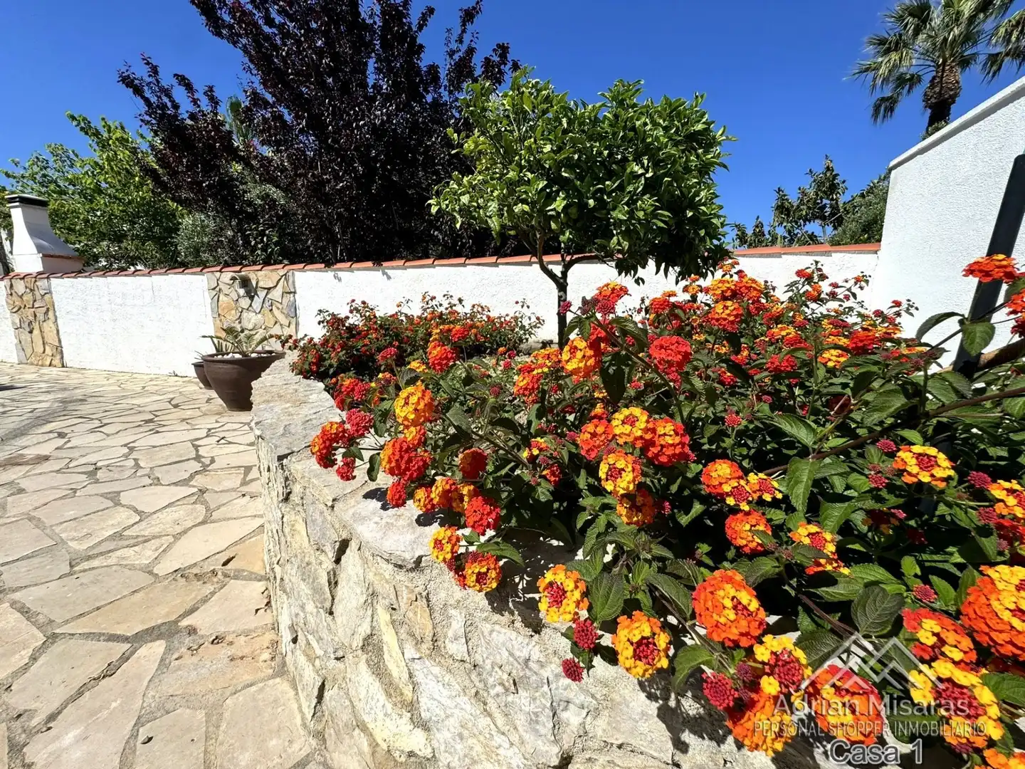 Jardín de Casa o chalet en venta en Deltebre con Aire acondicionado, Piscina y Amueblado