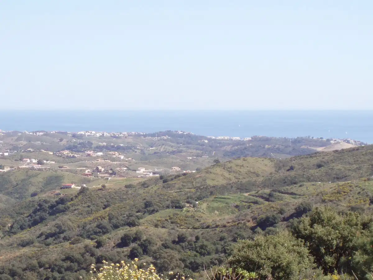 Vista exterior de Residencial en venda en Mijas