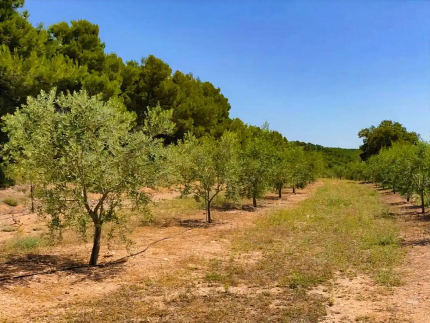Wohnung zur Miete in Alcoy / Alcoi mit Klimaanlage, Privatgarten und Schwimmbad