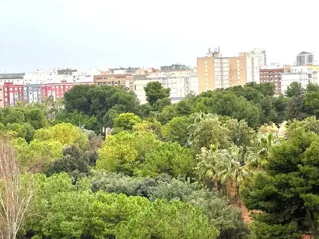 Vista exterior de Pis en venda en Valencia amb Parquet i Balcó