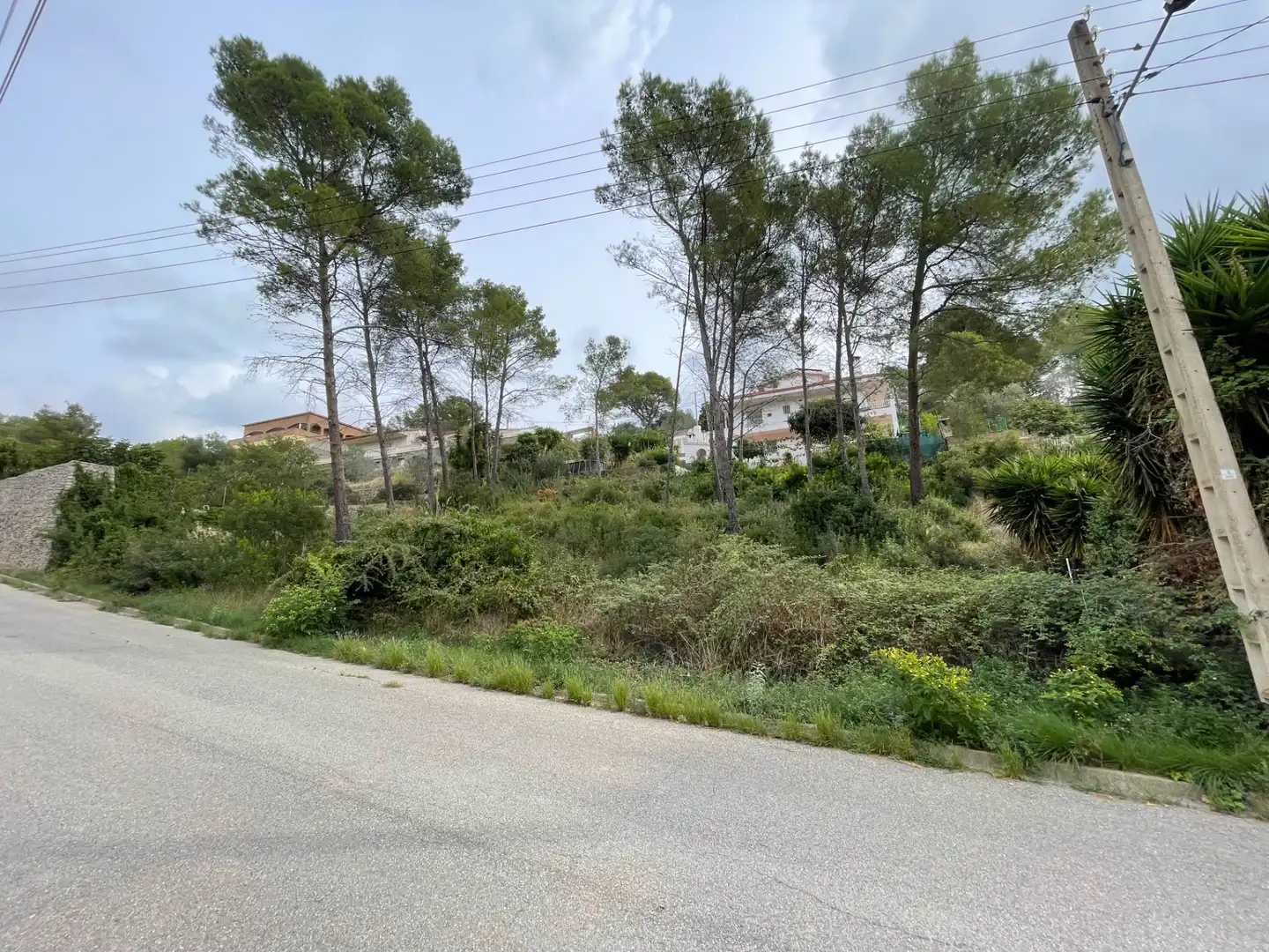 Terreny residencial en venda a Carrer de l'Alzina 25, imagen 18