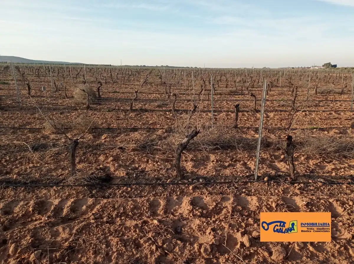 Rural land for sale in Valdepeñas, imagen 8