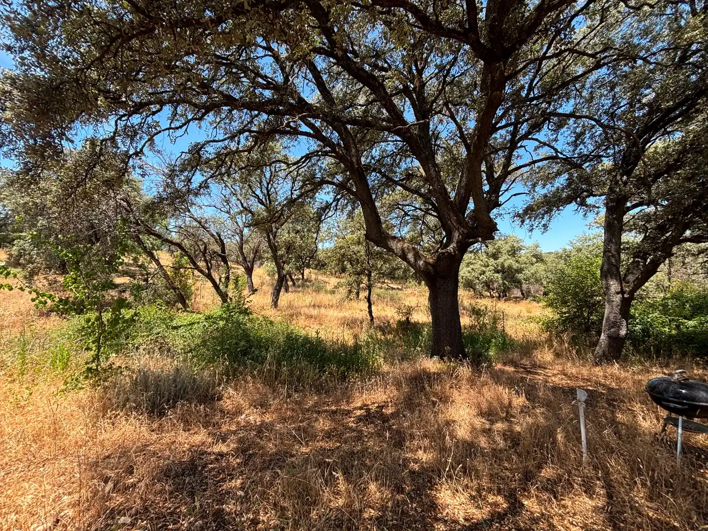 Residential land for sale in Paseo del Perú, imagen 11