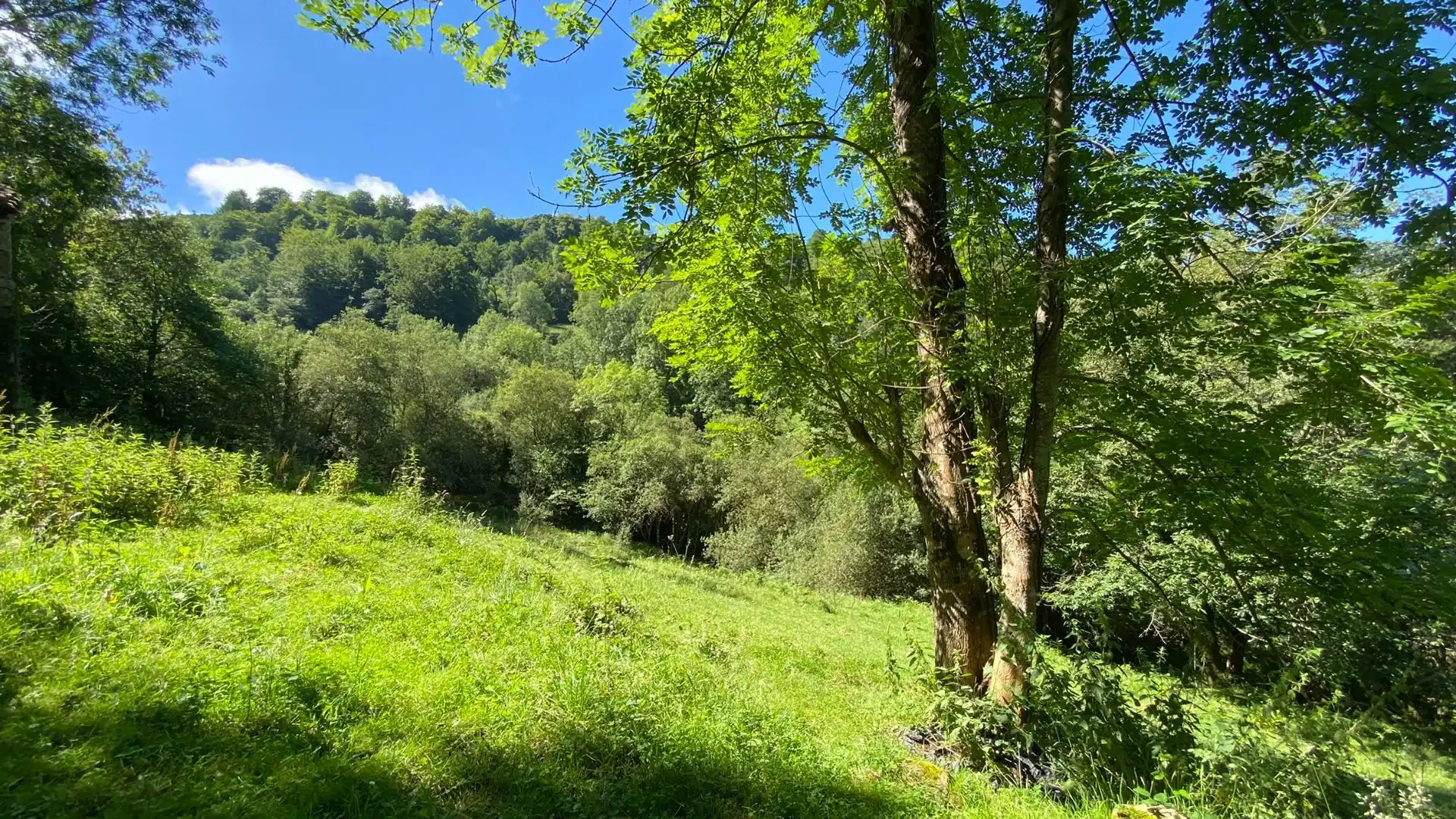 Terreno en venta en PRIESCA, Ponga