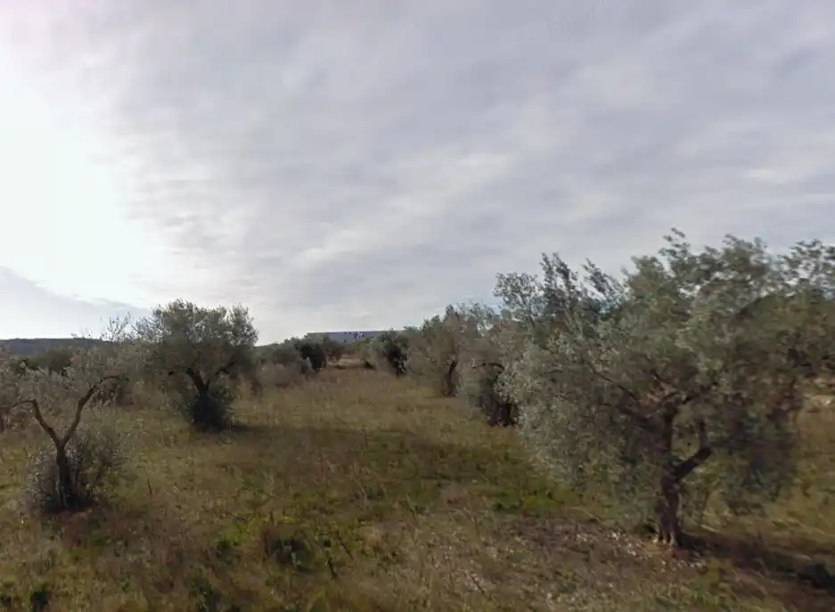 Terreno rustico in vendita a Les Coves de Vinromà, imagen 7