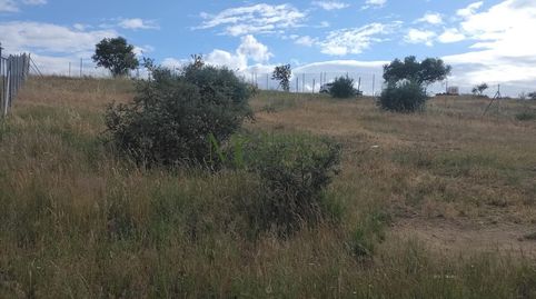 Foto 2 de Finca rústica en venta en Oeste, Mérida