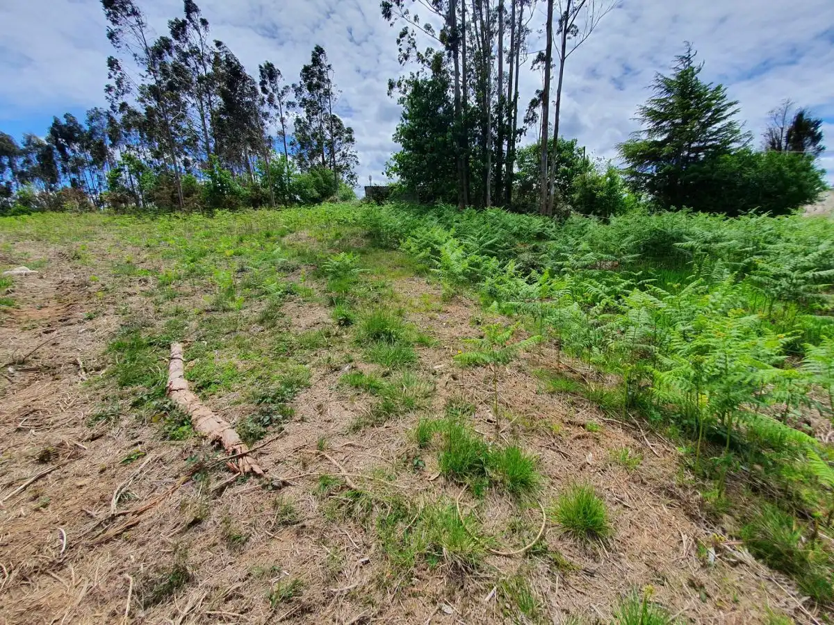 Terreny residencial en venda a Las Regueras, imagen 4