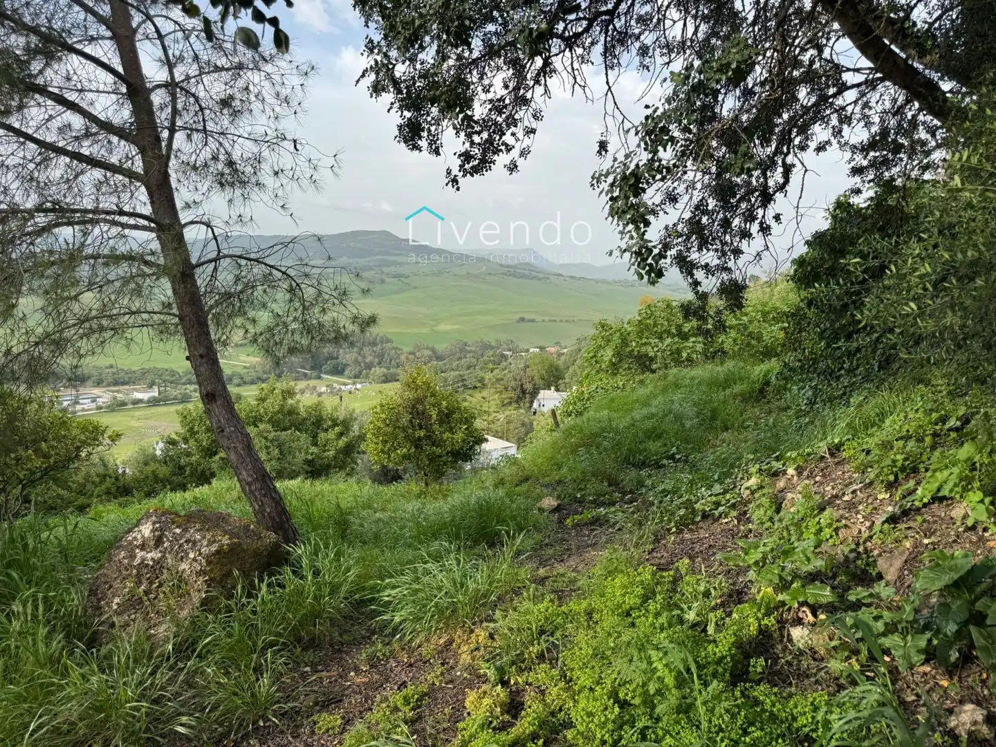 Casa o chalet en venta en Alcalá de los Gazules