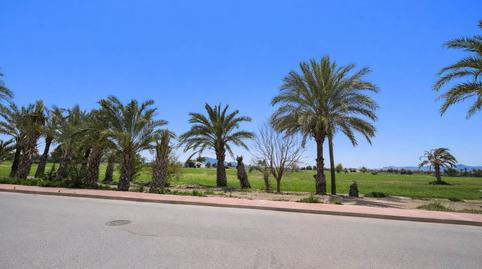 Foto 5 de Casa o xalet de lloguer a C. Dr. Joseph Ortin, Crevillent, Alicante