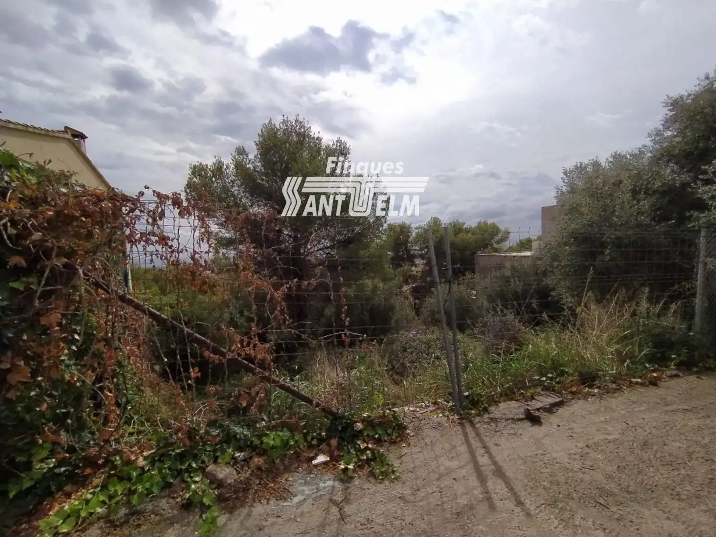 Terreno rustico in vendita a ANTILLES, imagen 3