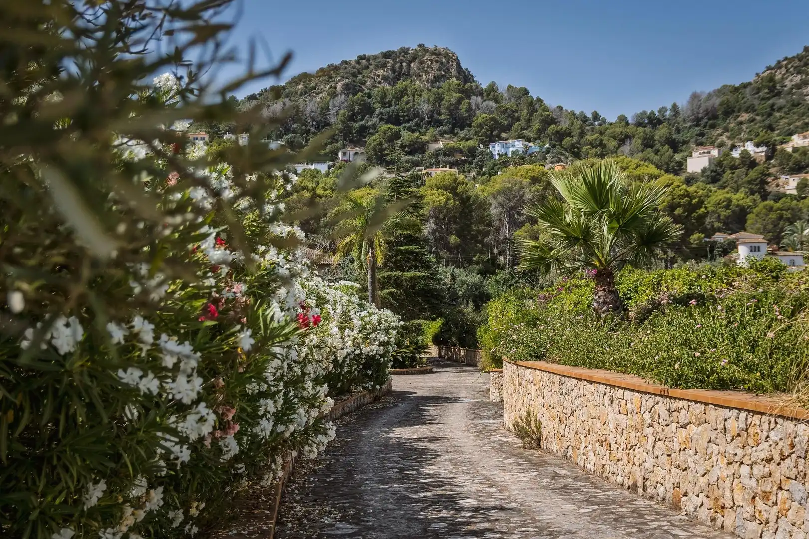 Jardí de Casa o xalet en venda en Pedreguer amb Aire condicionat, Calefacció i Jardí privat
