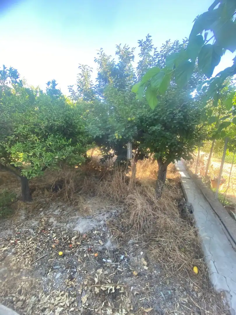 Finca rústica en venda en Murcia