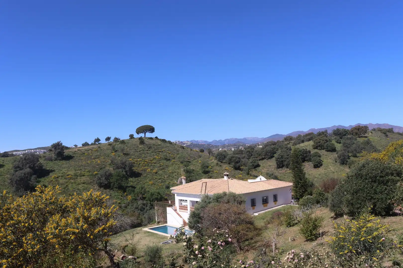 Jardí de Casa o xalet en venda en Mijas amb Aire condicionat i Piscina