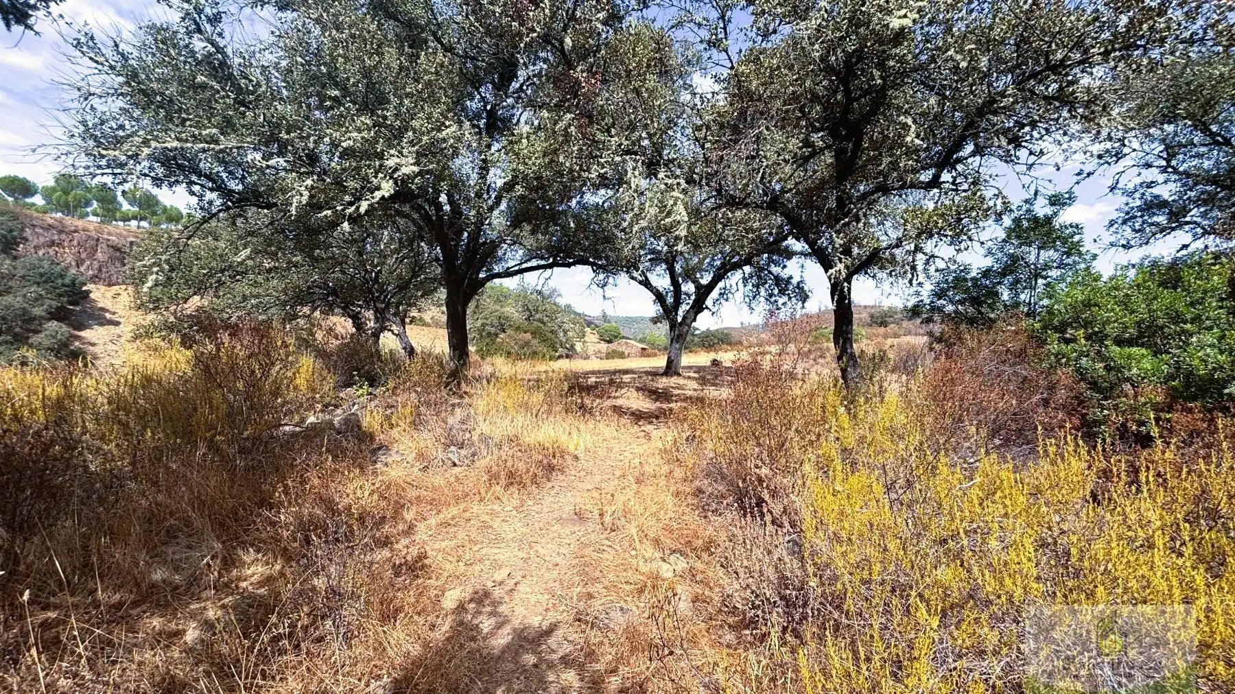 Finca rústica en venta en Berrocal