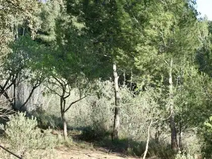 Lands and plots for sale in Lugar Can Segarra, imagen 19