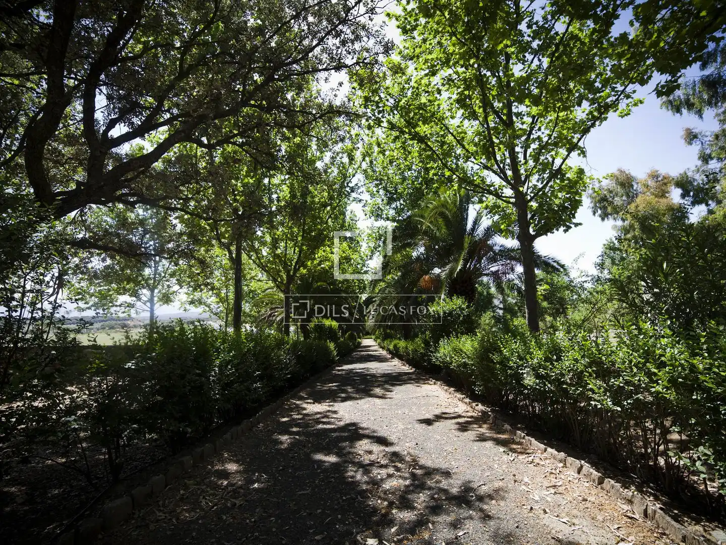 Vista exterior de Finca rústica en venda en Archidona amb Aire condicionat, Calefacció i Jardí privat