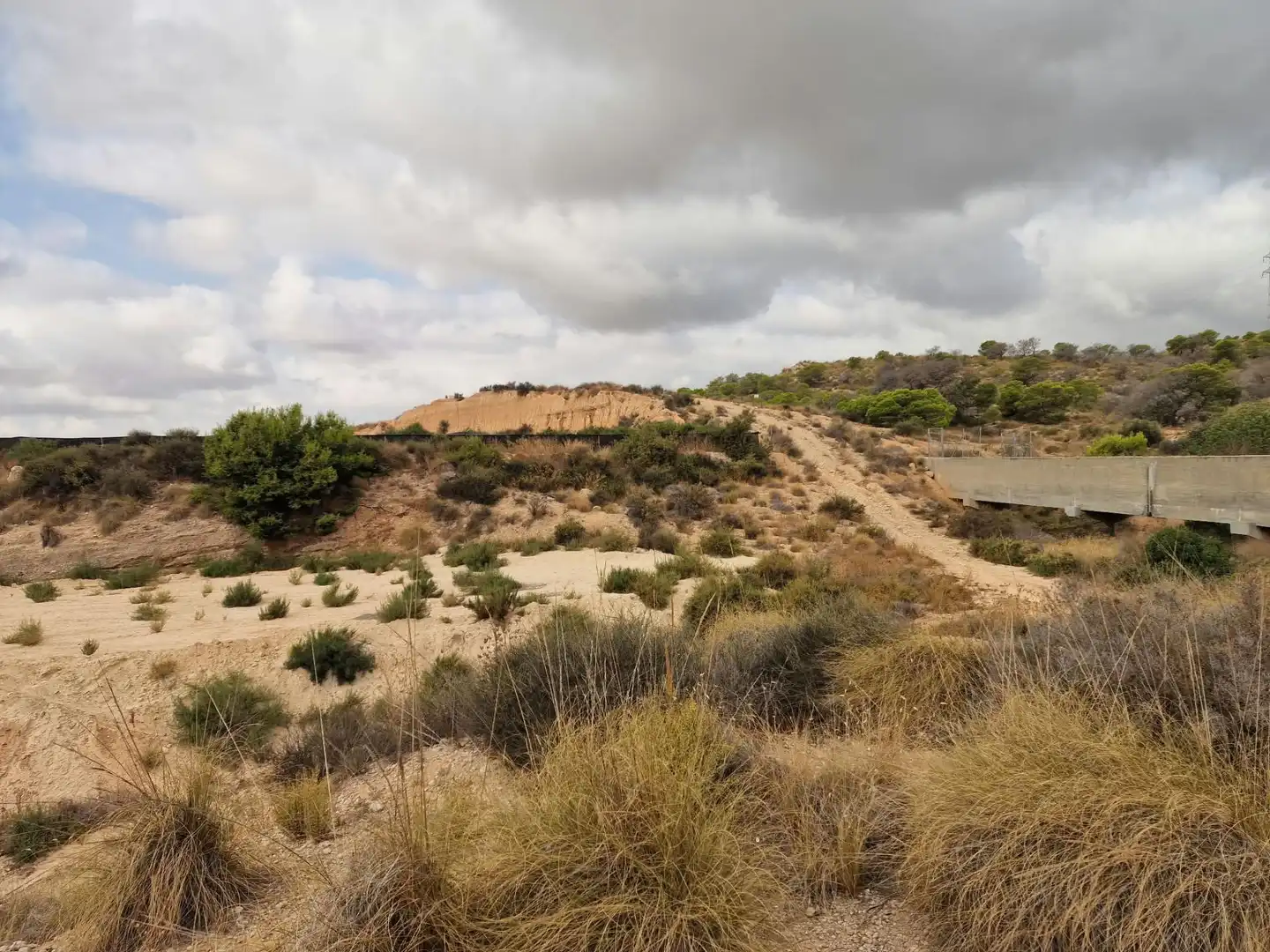 Rustikales Grundstück zum Verkauf in Peña de las Águilas, imagen 3