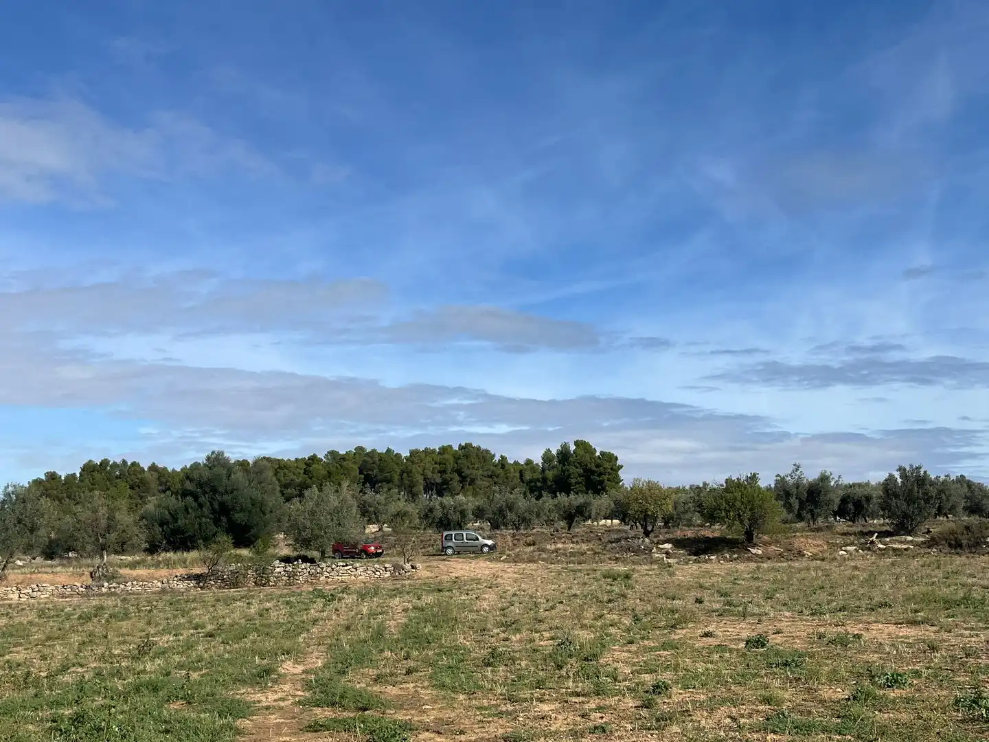 Terreni e lotti in vendita a Valderrobres, imagen 7
