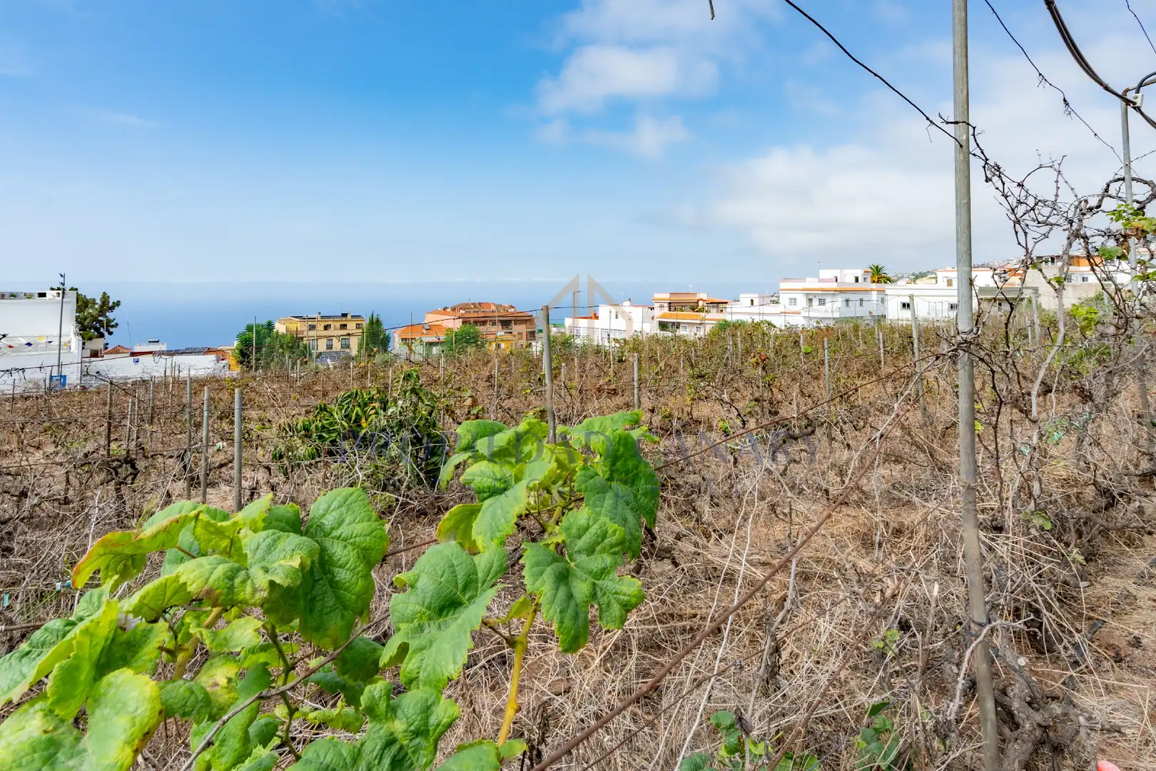 Terreno residencial en venta en Calle Vista Alegre 3, imagen 17