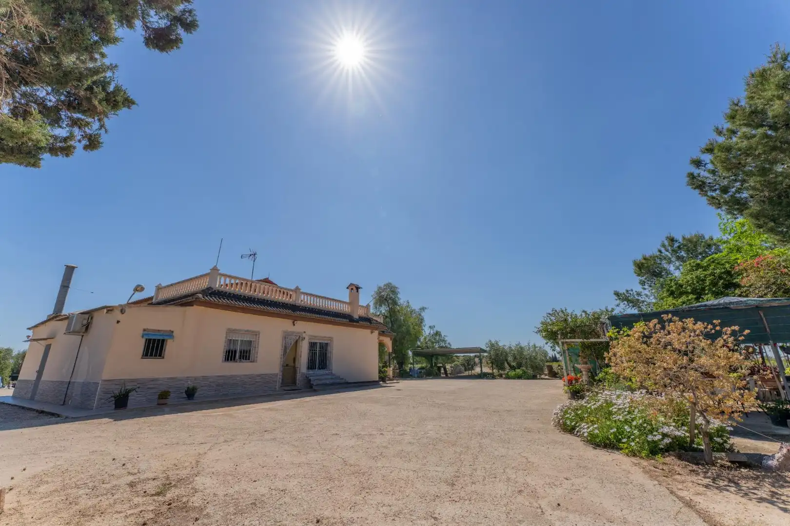 Jardín de Casa o chalet en venta en Elche / Elx con Aire acondicionado, Terraza y Piscina