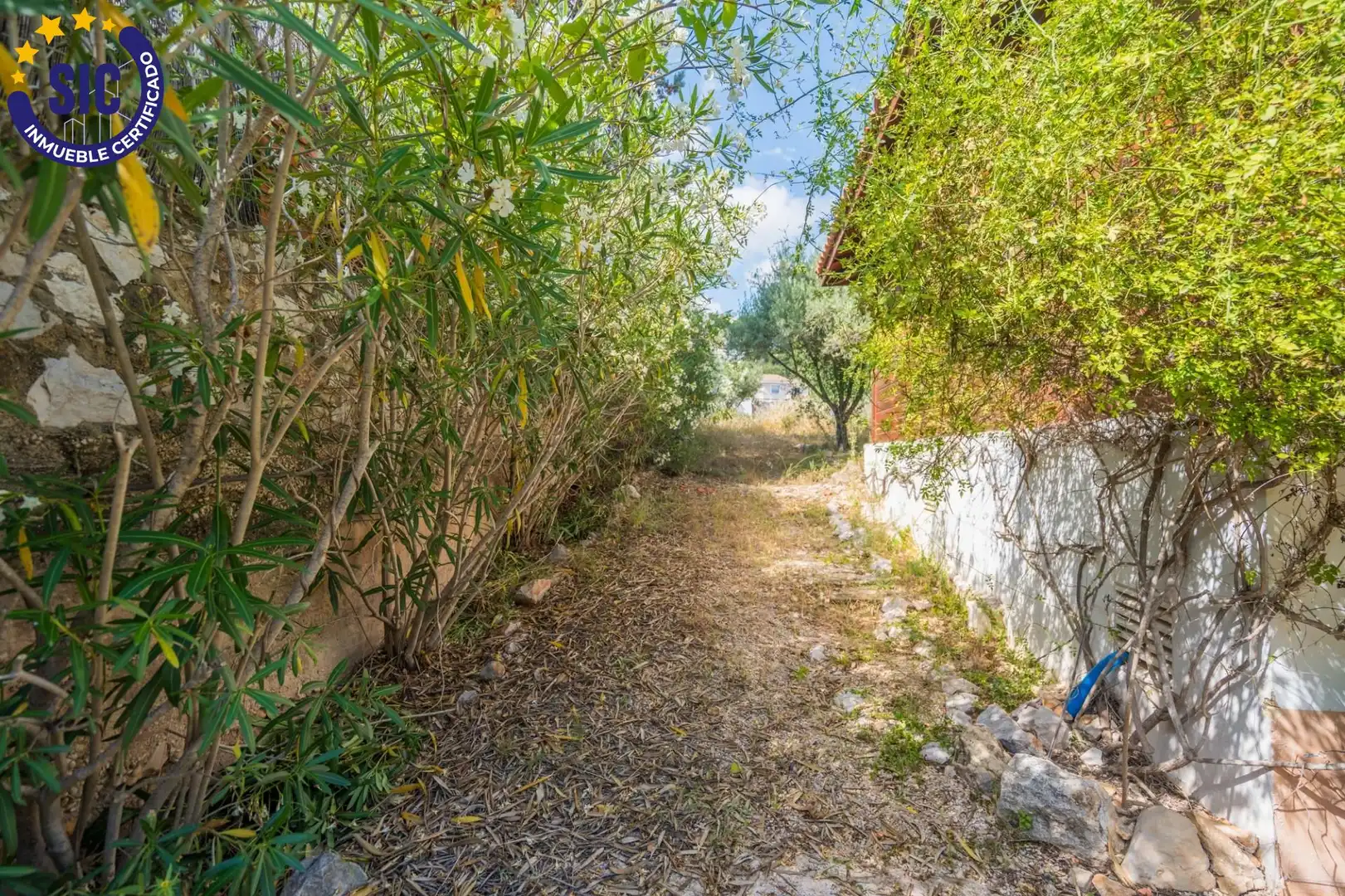 Jardín de Casa o chalet en venta en Torrent con Aire acondicionado, Calefacción y Jardín privado