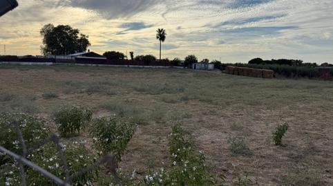 Foto 2 de Residencial en venda a Estación - La Fontanilla - El Tinte, Utrera