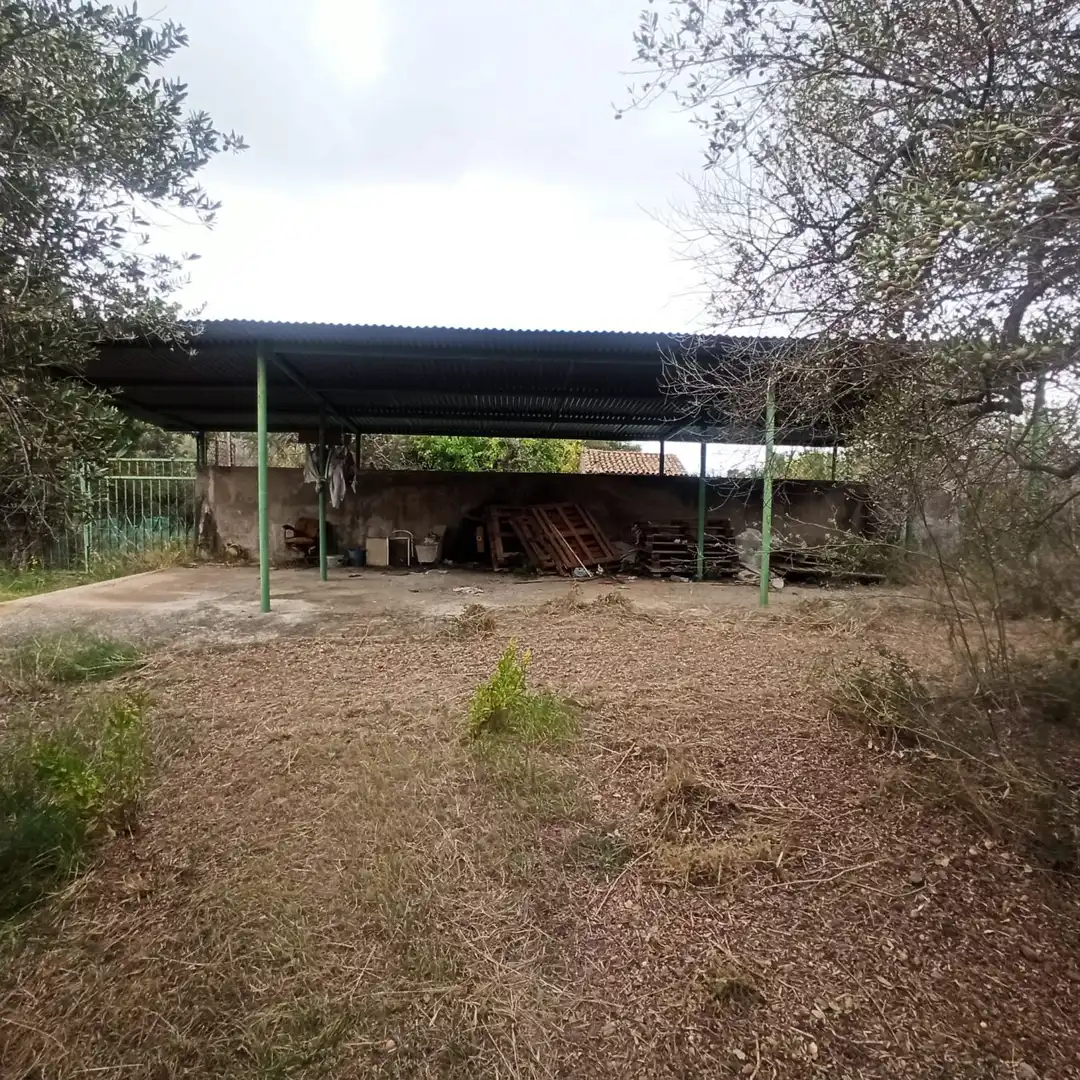 Finca rústica en venta en La Selva del Camp