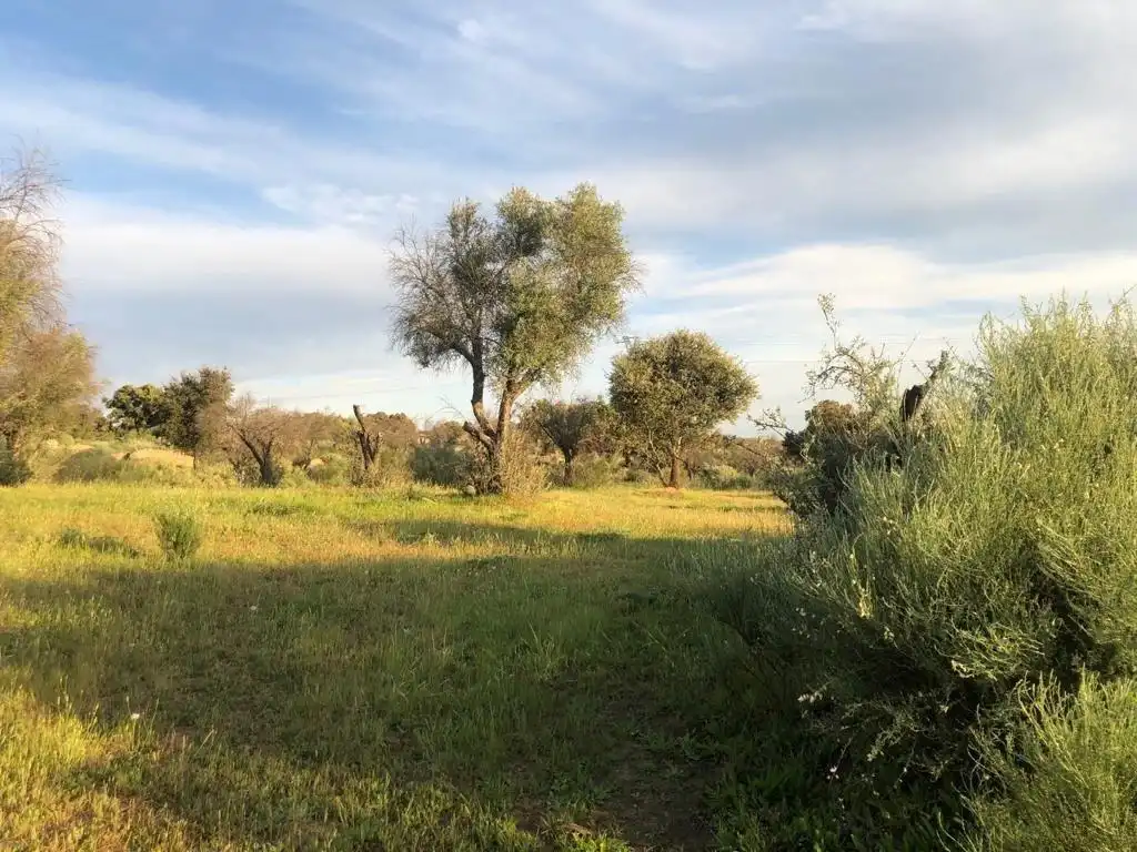 Terreni e lotti in vendita a Aldea del Cano