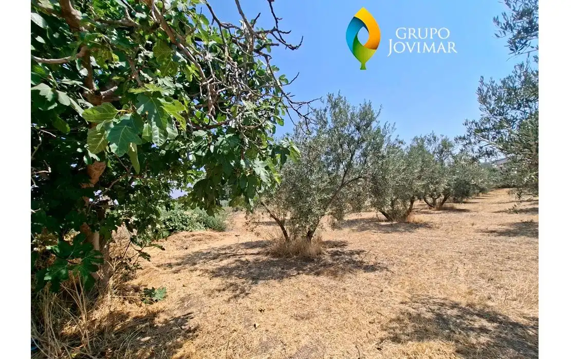 Casa o chalet en venta en Guadix con Calefacción, Piscina y Amueblado