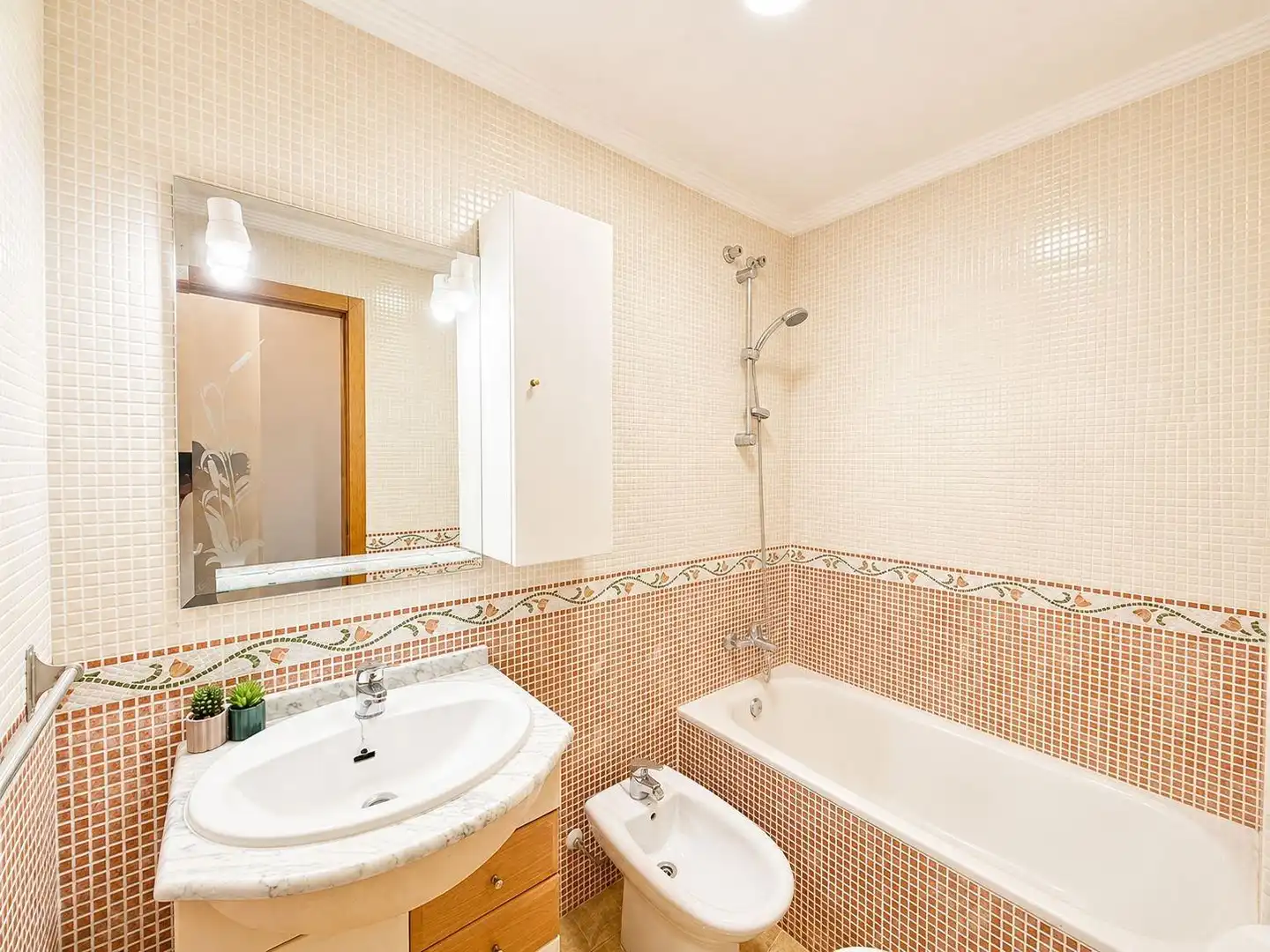 Bajo con terraza en venta en Calle PATRICIO ZAMMIT, imagen 14