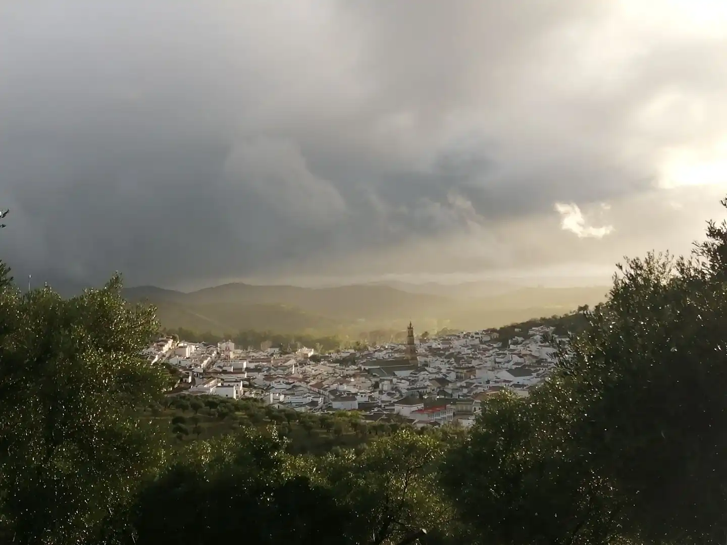 Terreni e lotti in vendita a Constantina, imagen 37